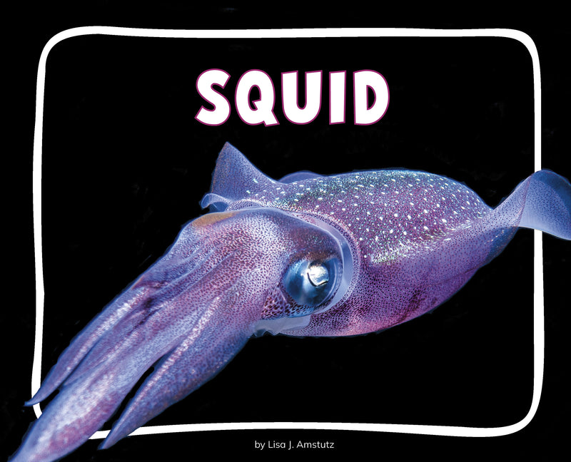 Squid