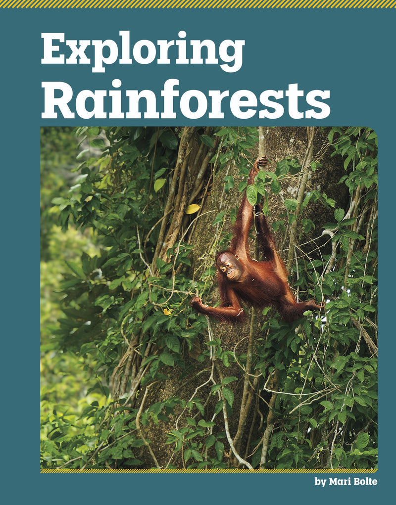 Exploring Rainforests