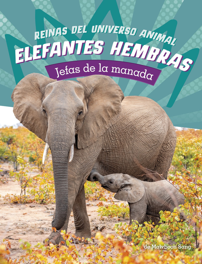 Elefantes hembras: Jefas de la manada