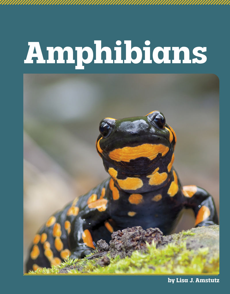 Amphibians