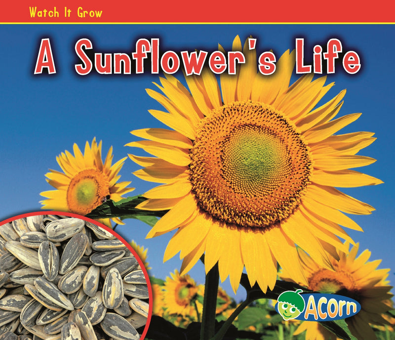 A Sunflower's Life