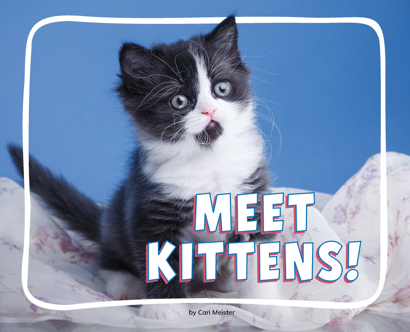 Meet Kittens!
