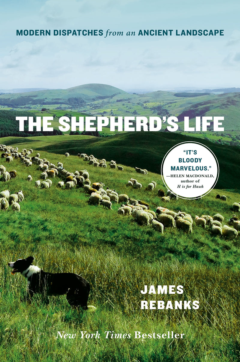 The Shepherd's Life