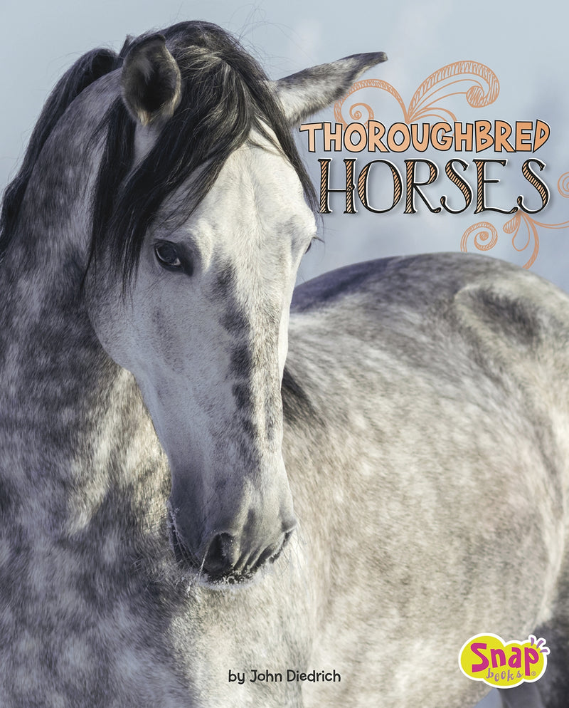 Clydesdale Horses