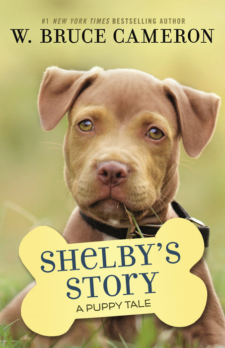 Shelby's Story