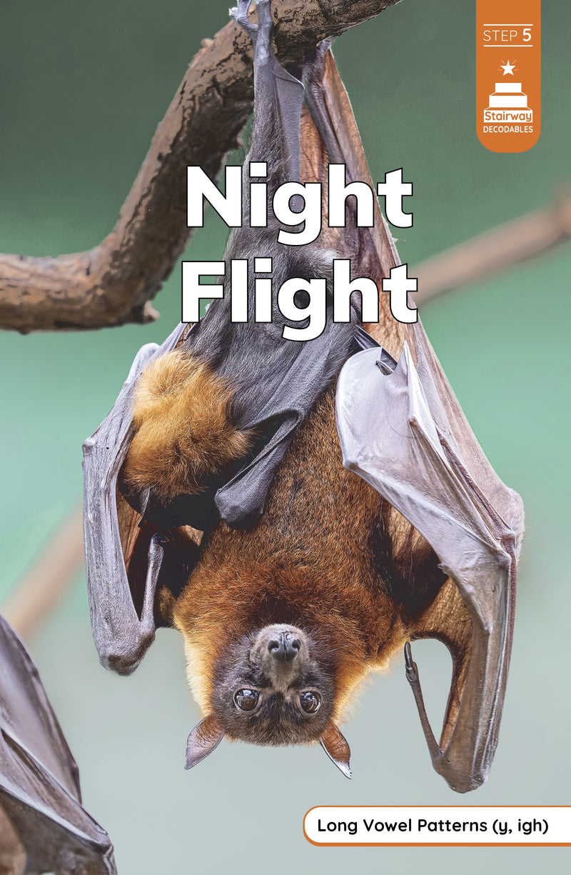 Night Flight