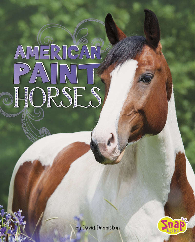 American Paint Horses