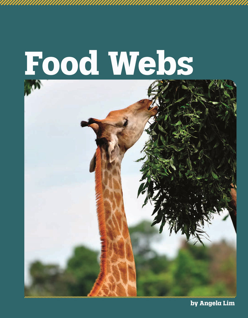 Food Webs