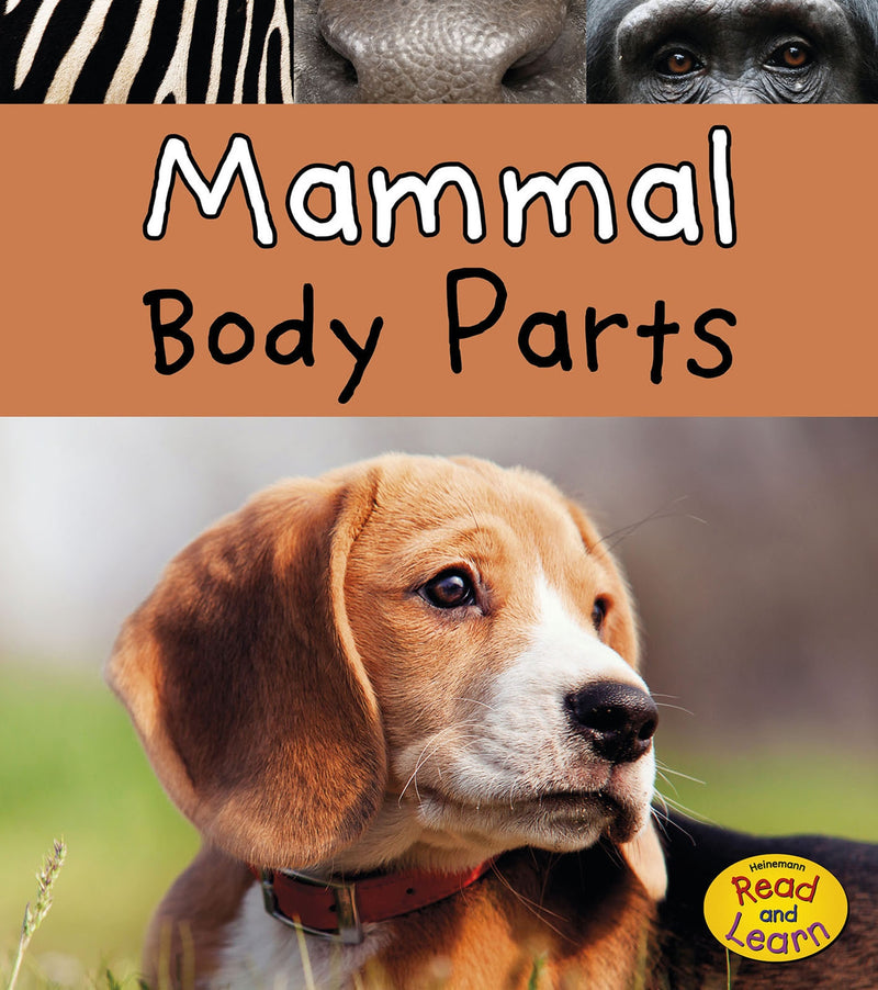 Mammal Body Parts
