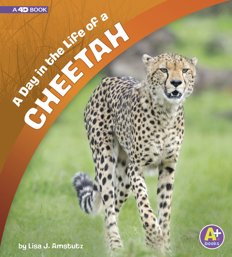 A Day in the Life of a Cheetah: A 4D Book
