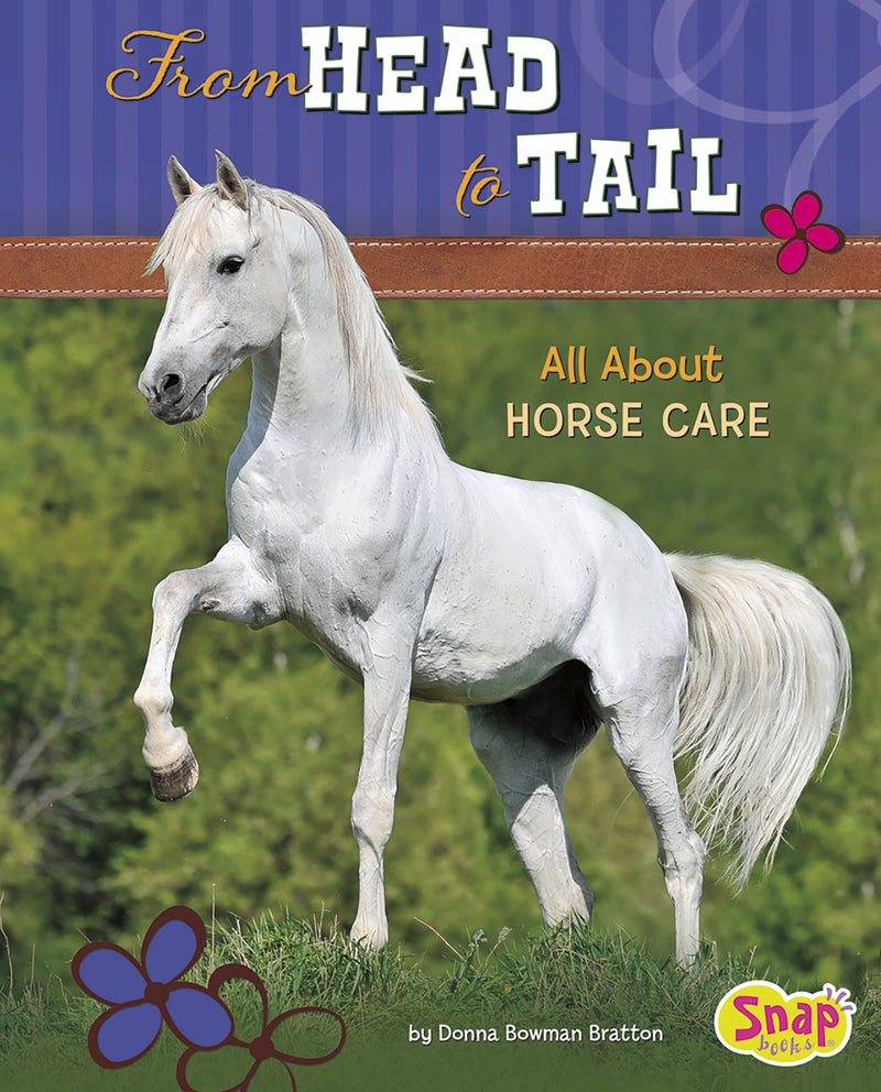 From Head to Tail: All About Horse Care