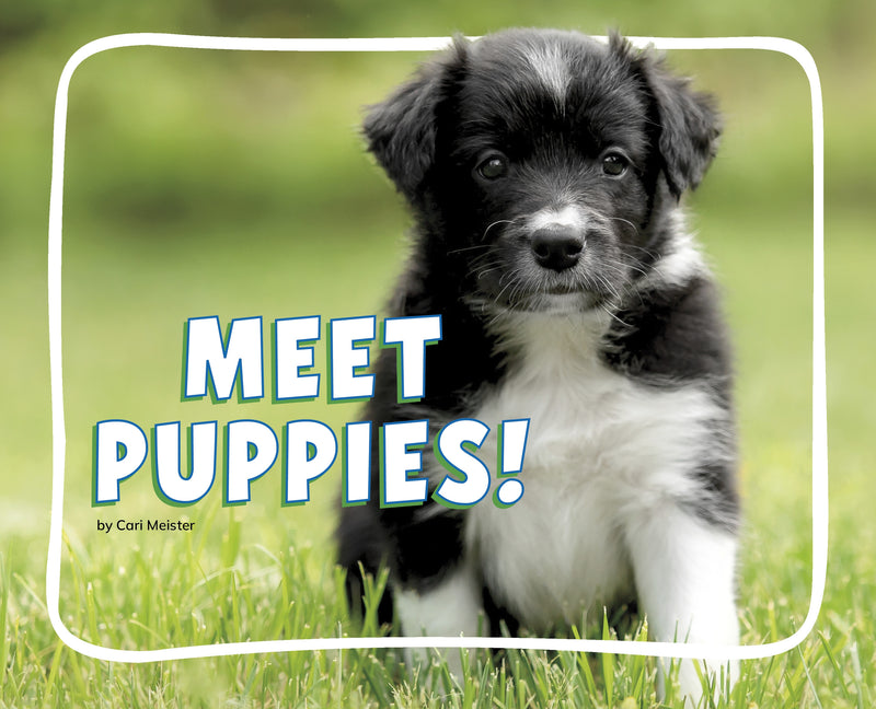Meet Puppies!