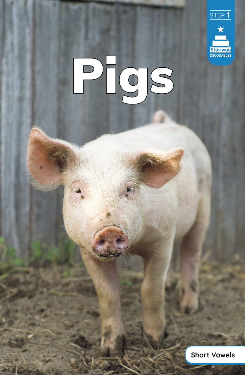 Pigs