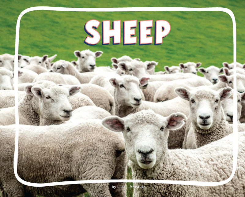Sheep