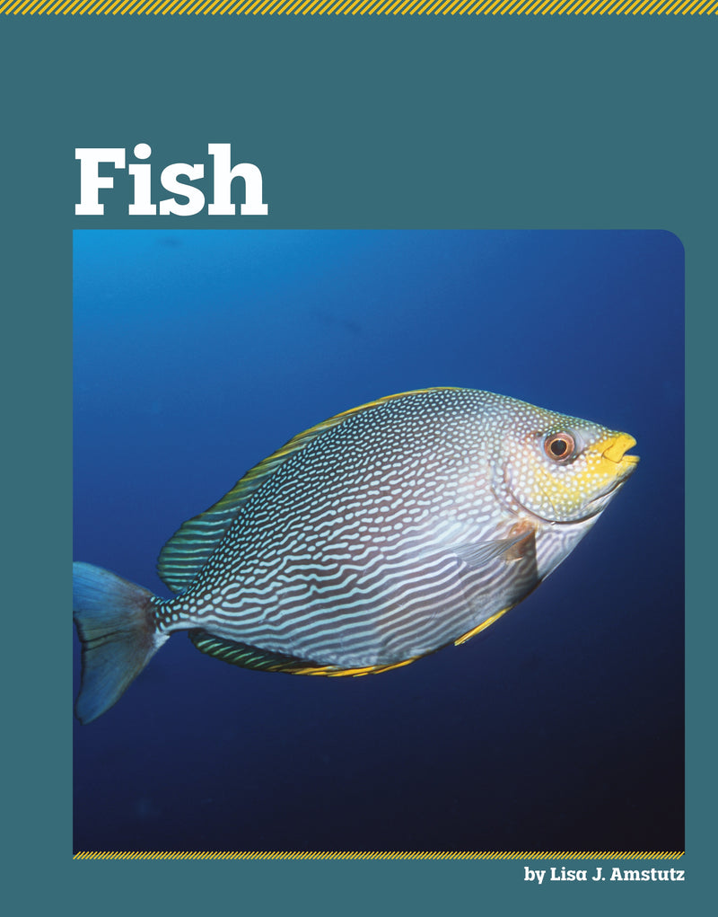 Fish