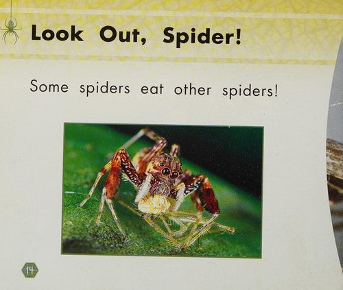 Gear Up Hungry Spiders Grade 1