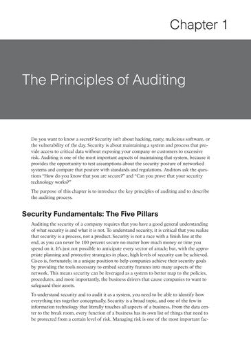 Network Security Auditing
